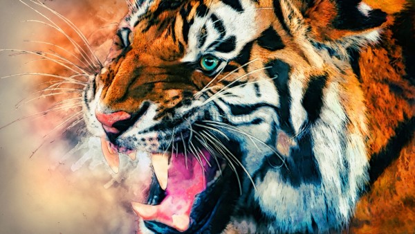 Snarling Tiger