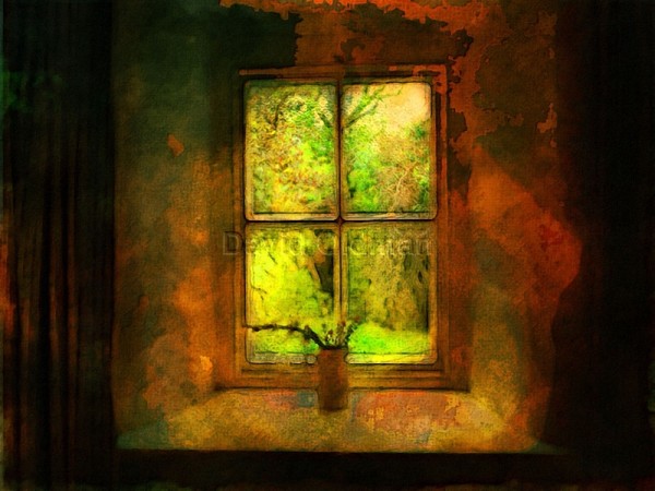 Window